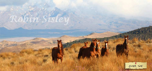 Robin Sisley New Zealand Author 'Eat The Wind'